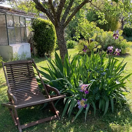 Daire Cocon Du Jardin Caen